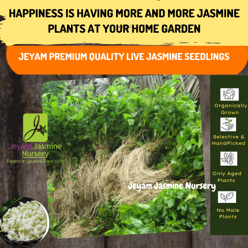 2_20210923_113708_0001