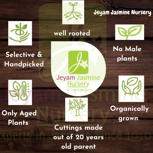 4_20210923_113618_0003 - Copy