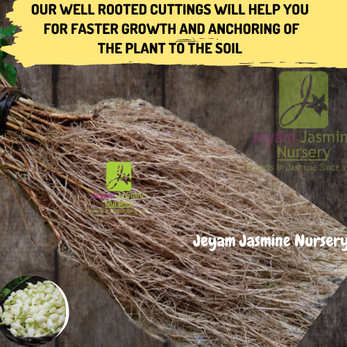 5_20210923_113618_0004