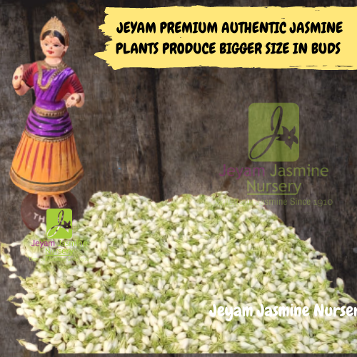 6_20210923_113618_0005