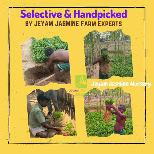 7_20210923_113618_0006